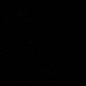 Meet your Posher, Zack